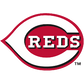Custom MLB Package
