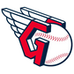 Custom MLB Package