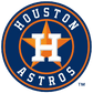 Custom MLB Package