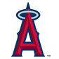 Custom MLB Package