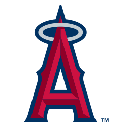 Custom MLB Package