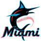 Custom MLB Package