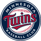 Custom MLB Package