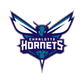 Custom NBA Package