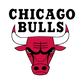 Custom NBA Package