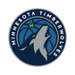 Custom NBA Package