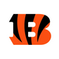 Custom NFL Package
