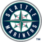 Custom MLB Package