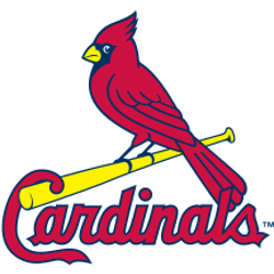 Custom MLB Package