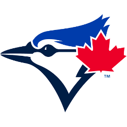 Custom MLB Package