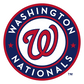 Custom MLB Package
